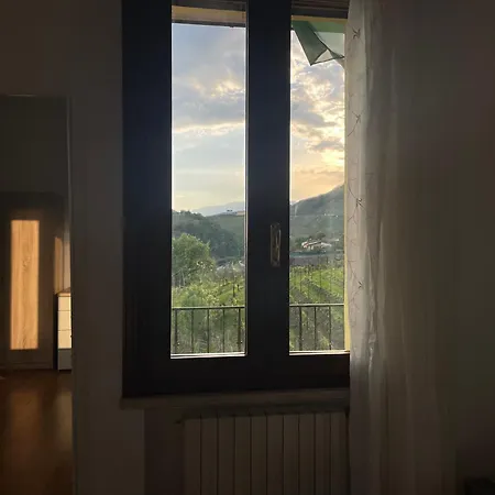 Silvia Miotto's